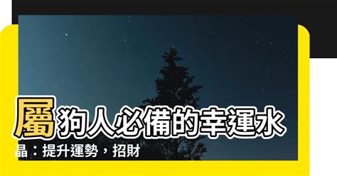 屬狗適合什麼水晶|2025年屬狗適合的水晶推薦與選擇指南